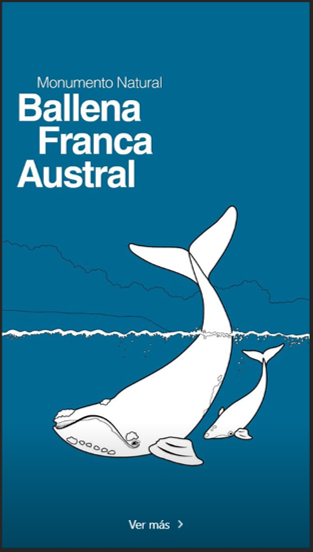 Ballena Franca Austral